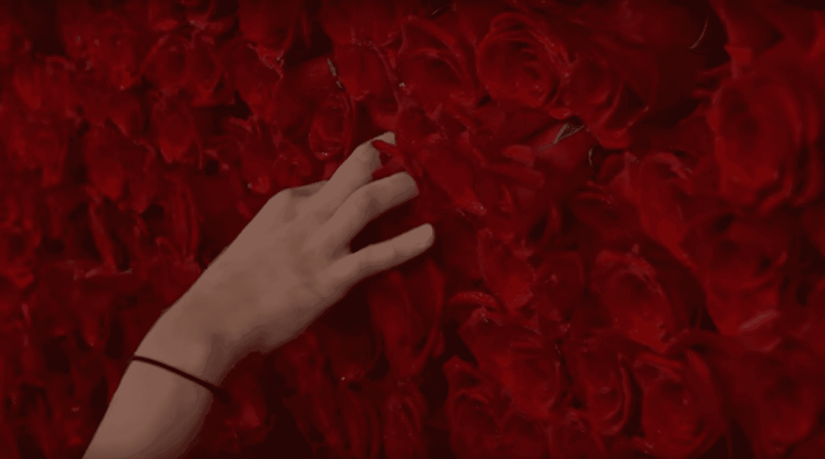 1dcde6d4 7710 4318 b311 e333ceed6131 rose png