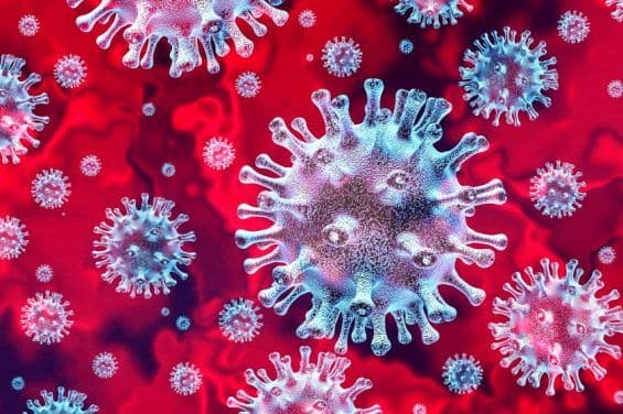 dfc74c82 e29d 421b bdfc 59e2c4721783 coronavirus covid 19 feature 565x376 jpg
